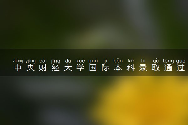 中央财经大学国际本科录取通过率高吗 容易过吗