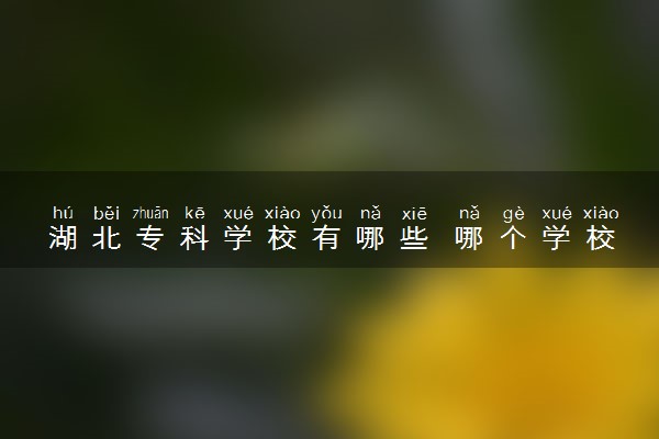 湖北专科学校有哪些 哪个学校值得推荐