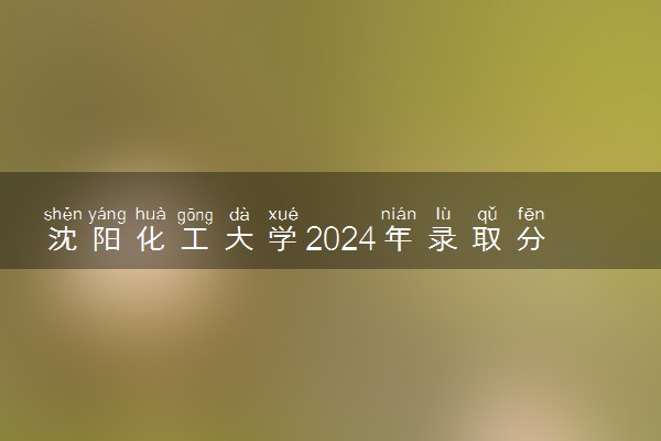 沈阳化工大学2024年录取分数线 各专业录取最低分及位次