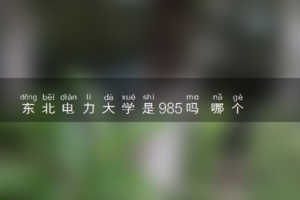 东北电力大学是985吗 哪个专业好就业