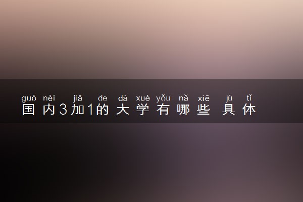 国内3加1的大学有哪些 具体院校名单一览