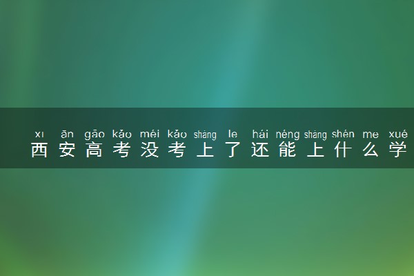 西安高考没考上了还能上什么学校