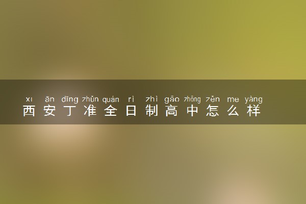 西安丁准全日制高中怎么样