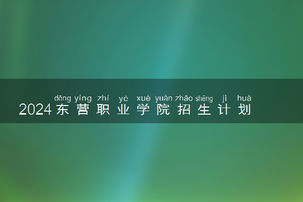 2024东营职业学院招生计划专业及各省录取分数线位次