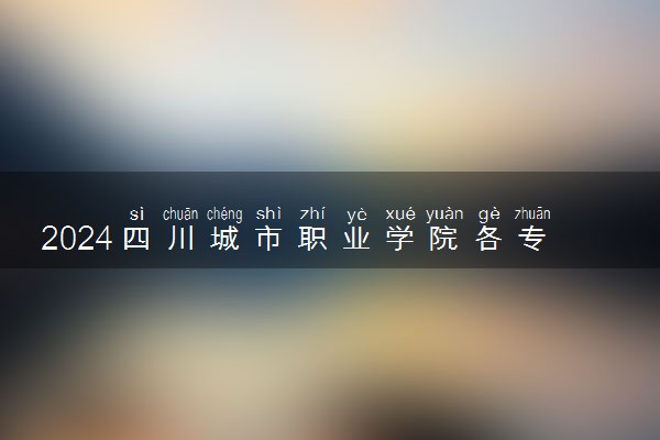 2024四川城市职业学院各专业录取分数线及位次 各省录取最低分是多少