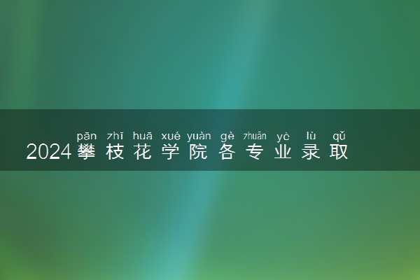 2024攀枝花学院各专业录取分数线及位次 各省录取最低分是多少