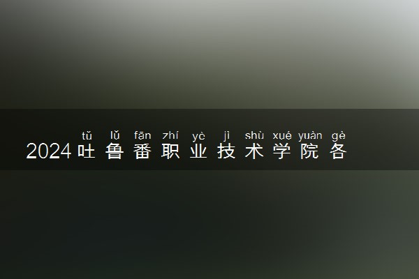 2024吐鲁番职业技术学院各专业录取分数线及位次 各省录取最低分是多少