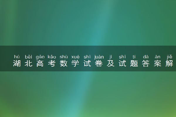 湖北高考数学试卷及试题答案解析(2024考后更新)