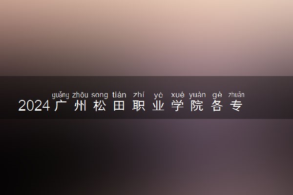 2024广州松田职业学院各专业录取分数线及位次 各省录取最低分是多少