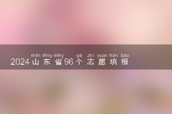2024山东省96个志愿填报样图 有什么填报窍门
