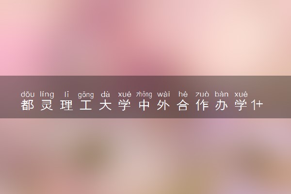 都灵理工大学中外合作办学1+3+1学费多少钱