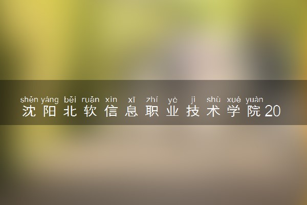 沈阳北软信息职业技术学院2024年学费多少钱 一年各专业收费标准