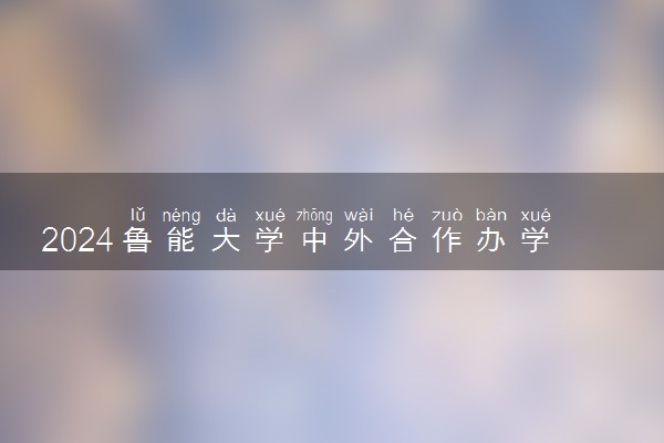 2024鲁能大学中外合作办学有什么专业 可以转专业吗