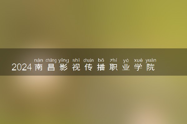 2024南昌影视传播职业学院中外合作办学专业学费多少钱