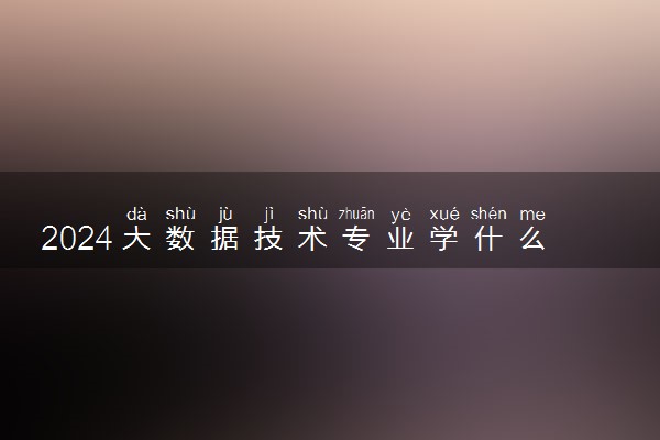 2024大数据技术专业学什么 毕业后好找工作吗