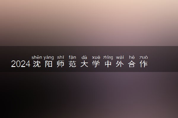 2024沈阳师范大学中外合作办学学费多少 有哪些专业