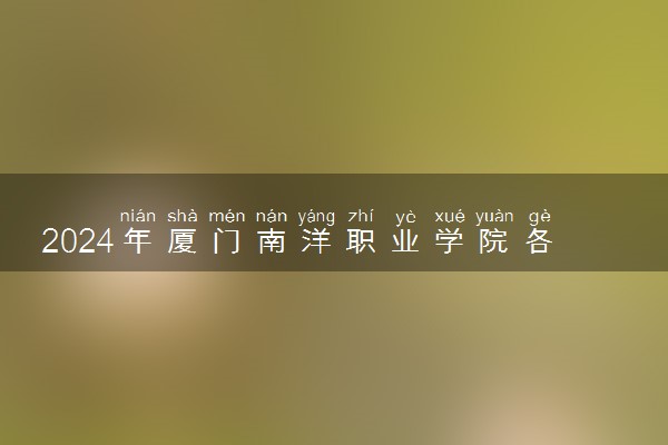 2024年厦门南洋职业学院各省招生计划及招生人数 都招什么专业
