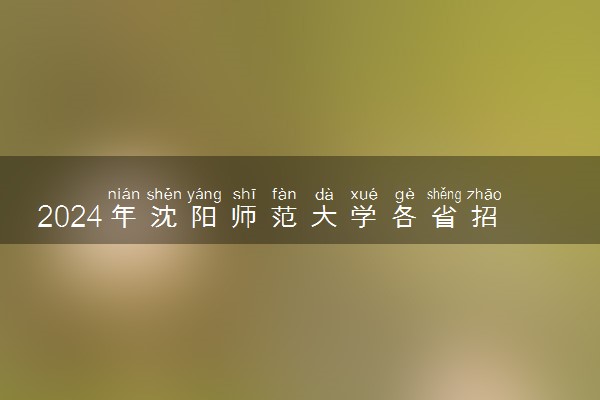 2024年沈阳师范大学各省招生计划及招生人数 都招什么专业