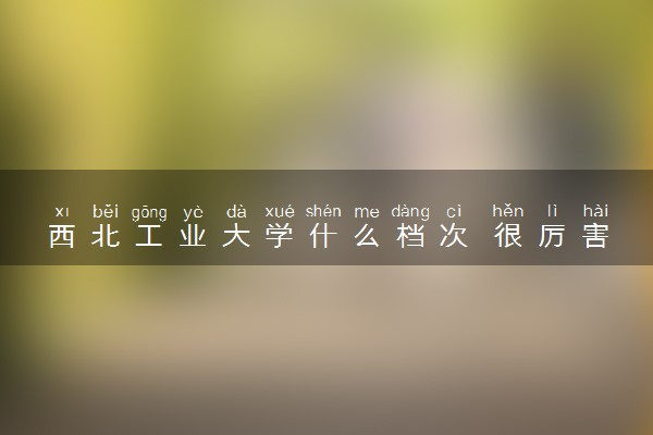 西北工业大学什么档次 很厉害吗
