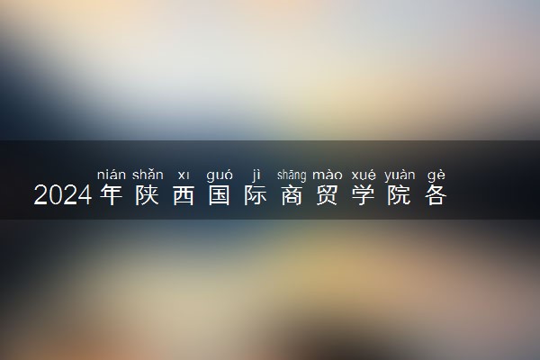 2024年陕西国际商贸学院各省招生计划及招生人数 都招什么专业