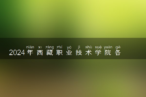 2024年西藏职业技术学院各省招生计划及招生人数 都招什么专业