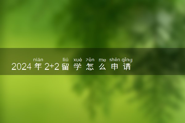 2024年2+2留学怎么申请 有哪些方式和步骤