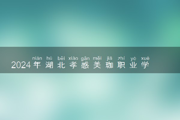 2024年湖北孝感美珈职业学院招生计划专业及各省录取分数线位次