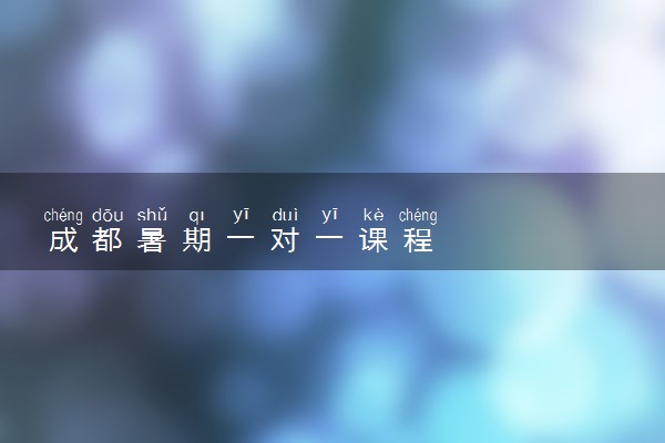 成都暑期一对一课程