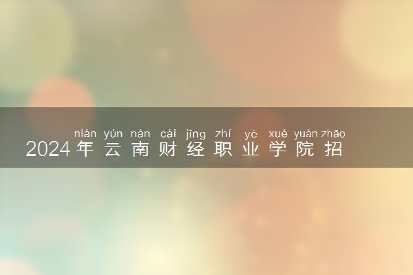 2024年云南财经职业学院招生计划专业及各省录取分数线位次