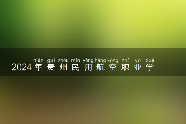 2024年贵州民用航空职业学院招生计划专业及各省录取分数线位次