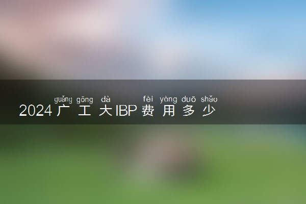 2024广工大IBP费用多少 本硕连读有什么优势