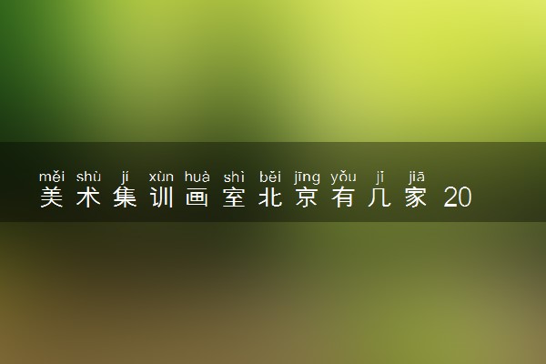 美术集训画室北京有几家 2024比较好的推荐