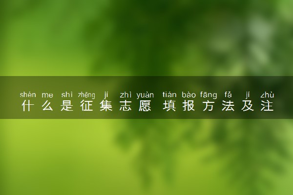 什么是征集志愿 填报方法及注意事项有哪些