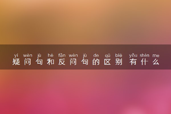 疑问句和反问句的区别 有什么不同之处