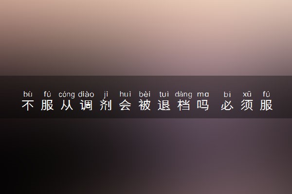 不服从调剂会被退档吗 必须服从调剂吗