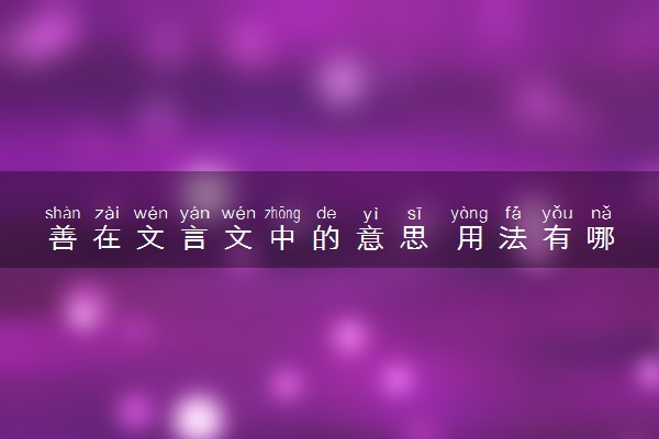 善在文言文中的意思 用法有哪些