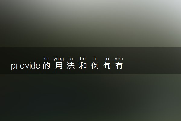 provide的用法和例句有哪些 具体怎么用