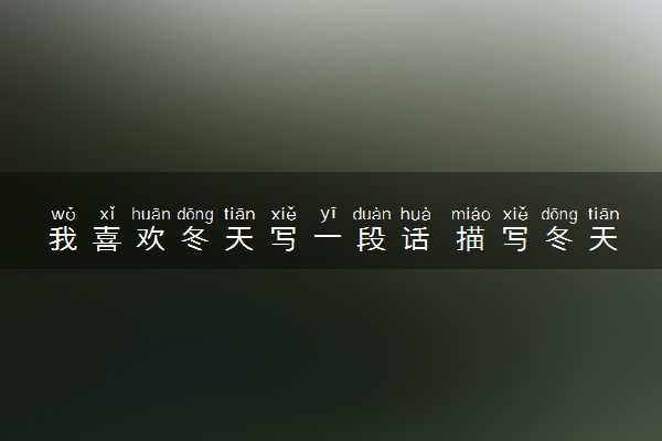 我喜欢冬天写一段话 描写冬天美丽景色的句子