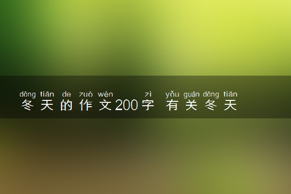 冬天的作文200字 有关冬天的优美段落摘抄