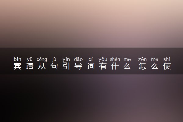 宾语从句引导词有什么 怎么使用