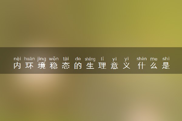 内环境稳态的生理意义 什么是内环境稳态