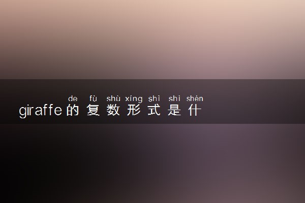 giraffe的复数形式是什么 常见搭配及例句