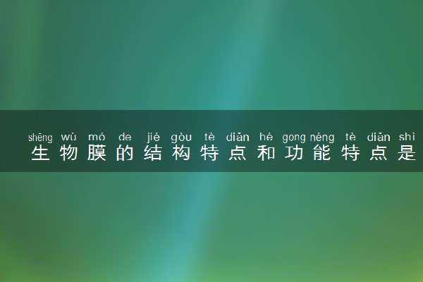 生物膜的结构特点和功能特点是什么 主要成分有哪些