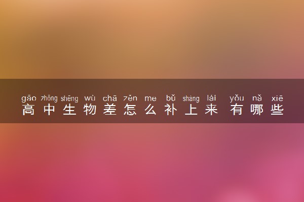高中生物差怎么补上来 有哪些学习方法