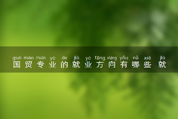 国贸专业的就业方向有哪些 就业前景如何