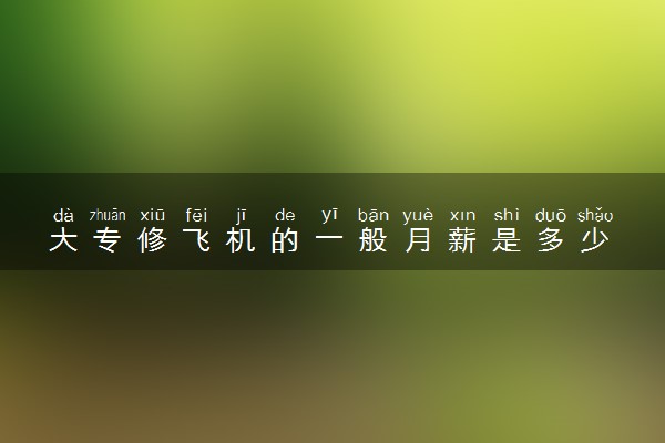 大专修飞机的一般月薪是多少 工资很高吗