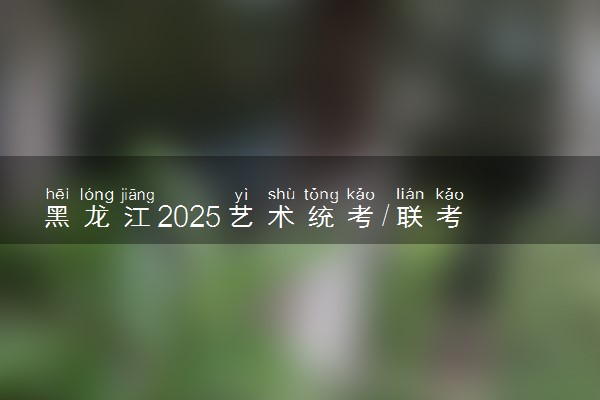 黑龙江2025艺术统考/联考满分多少 各科分值是多少