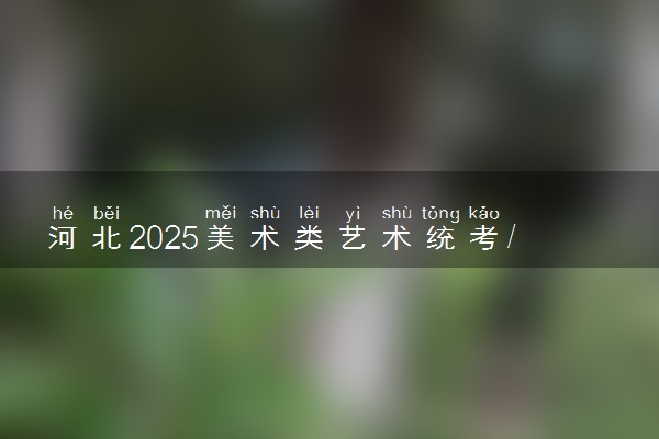 河北2025美术类艺术统考/联考满分多少 各科分值是多少