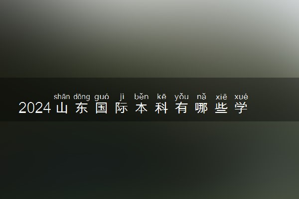 2024山东国际本科有哪些学校 读完有什么用