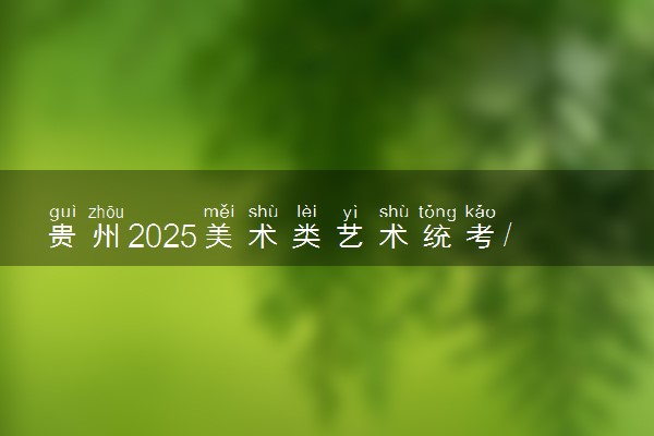 贵州2025美术类艺术统考/联考哪天考试 考完后多久出分